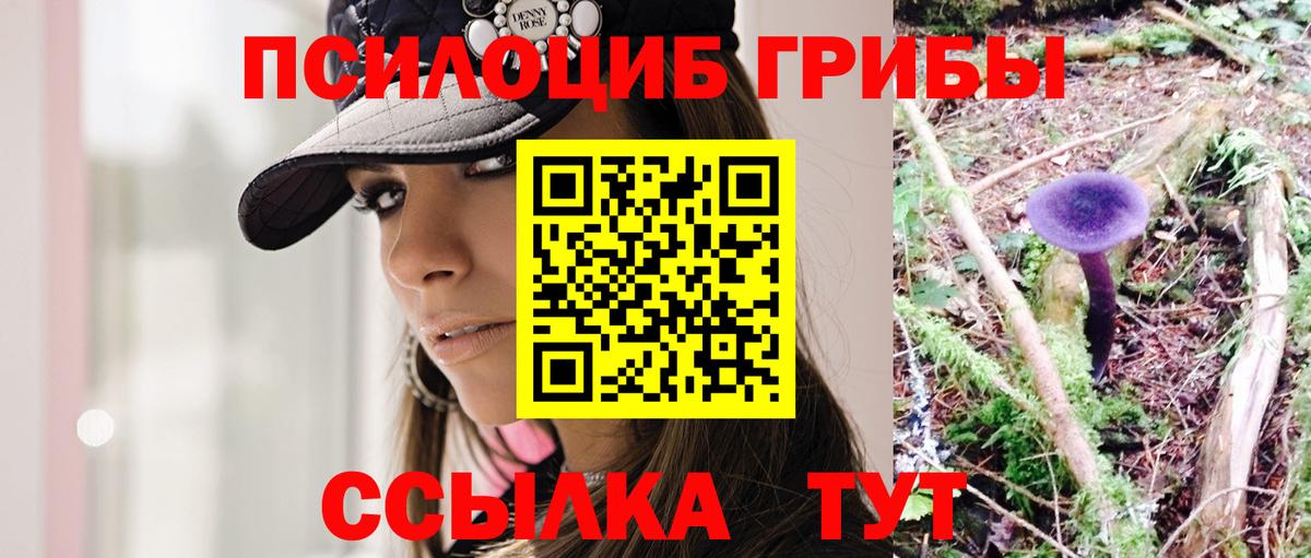 Псилоцибиновые грибы Psilocybe Лобня